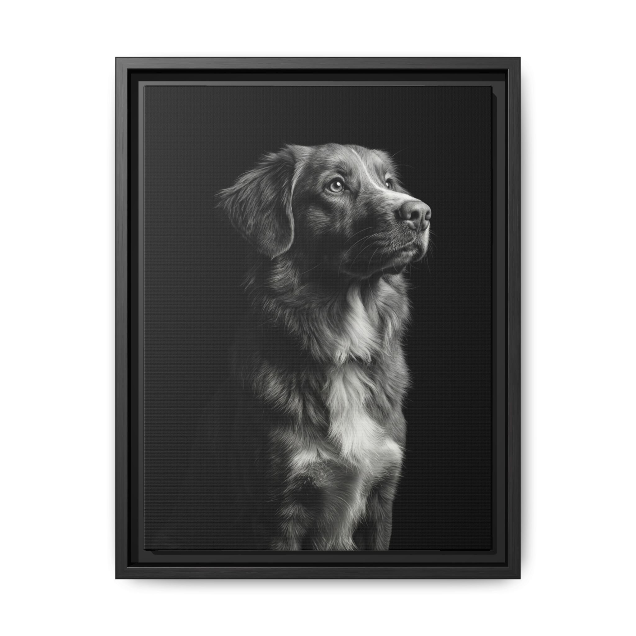 Black & White pet portrait style