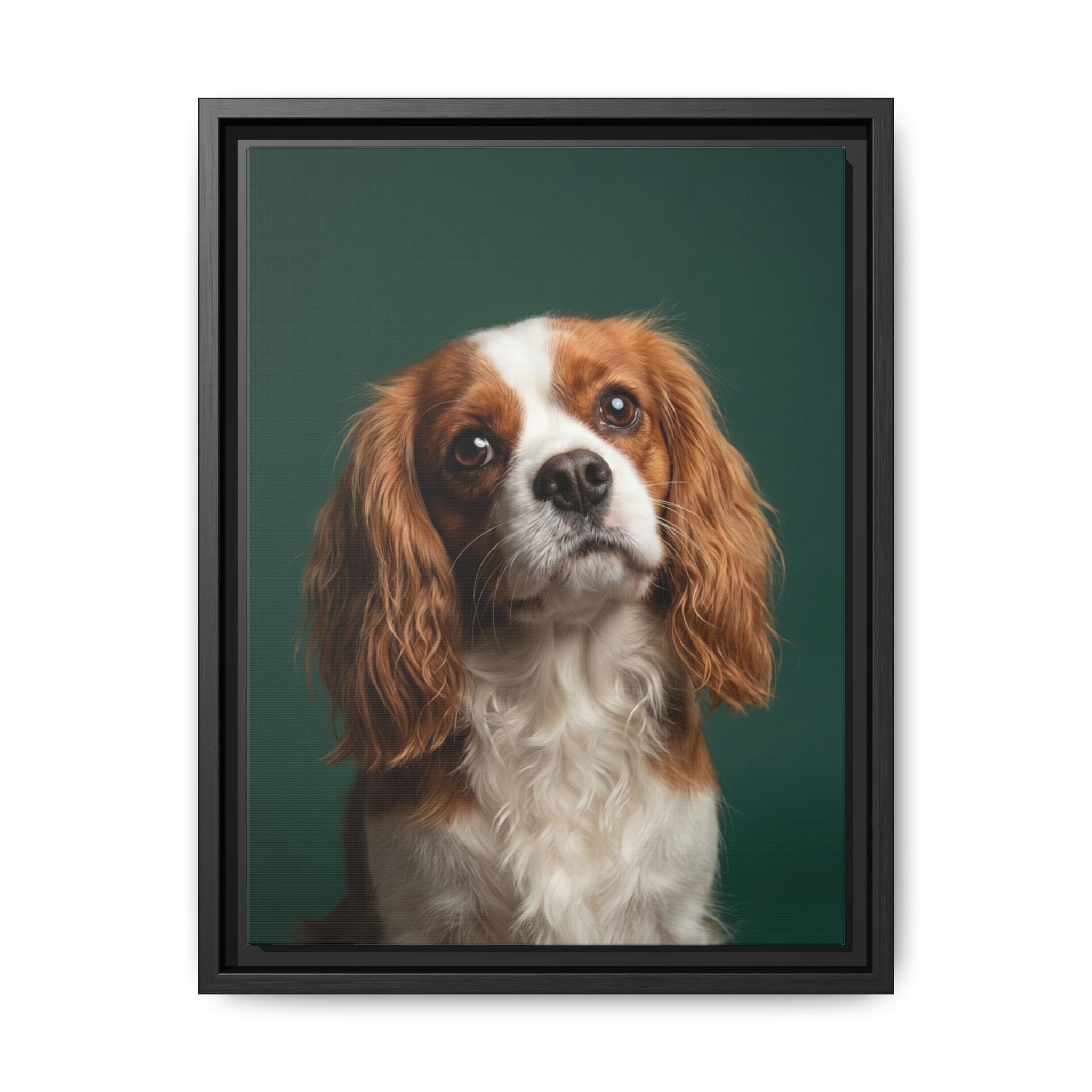 Studio Portrait pet portrait style